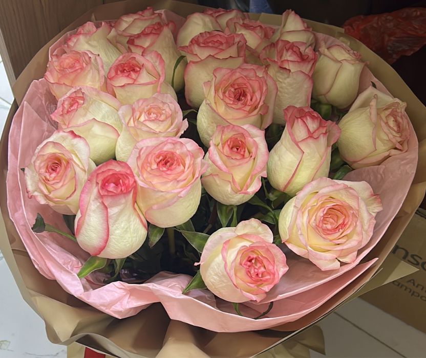 Цветыи 23 шт роза