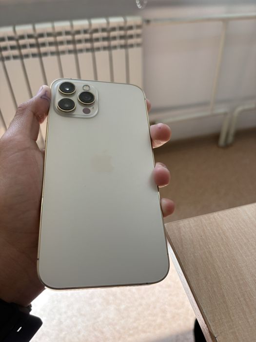 iPhone 12 pro max