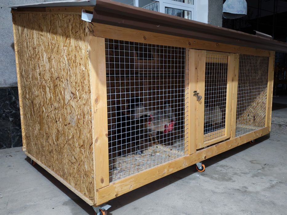 Katakxona quyon tovuq va boshqalar uchun