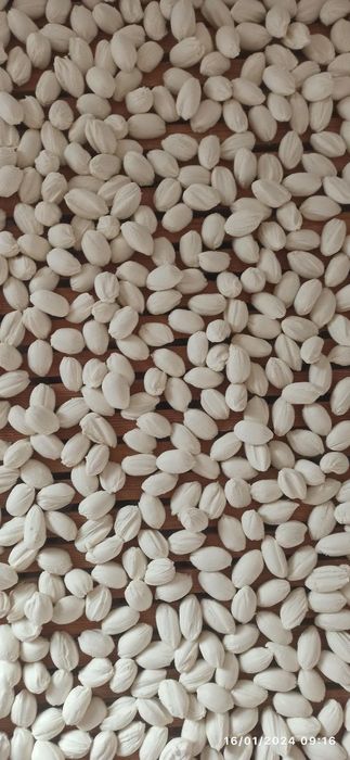 Qurt ishlab chiqaramiz