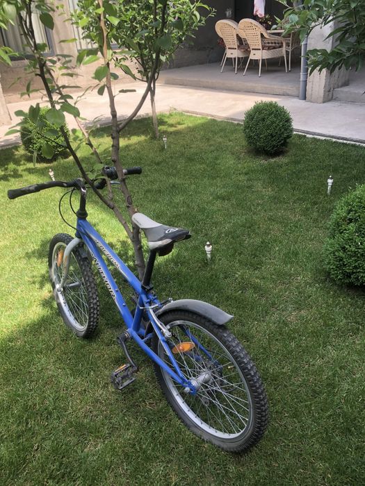 B\U Germaniskiy velik