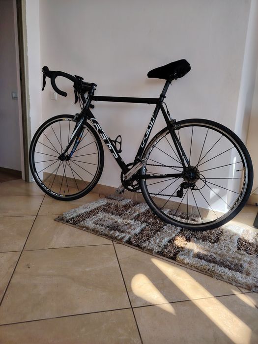Cursiera Felt mărimea 58