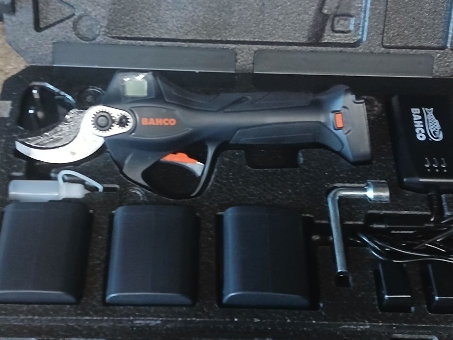 Foarfecă de tăiat via