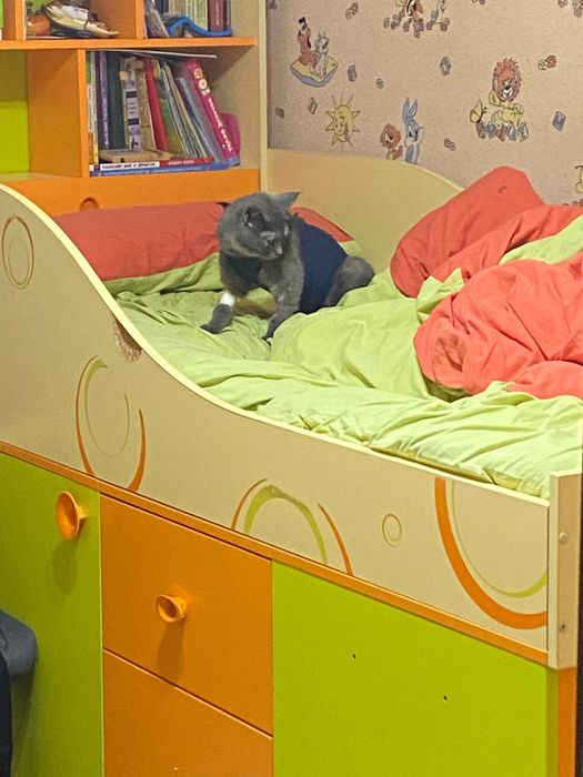 Детская кровать,мебель для девочек