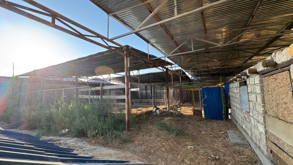 Бордакылауга , мал шаруашылығына арналган фазенда сатылады