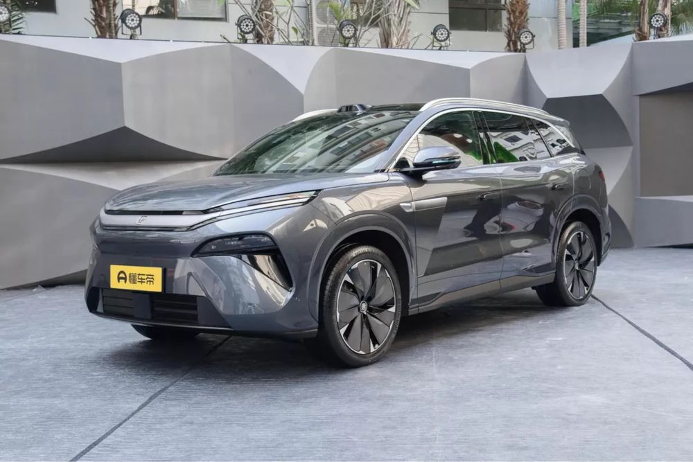 Byd Tang L eng fuli под заказ