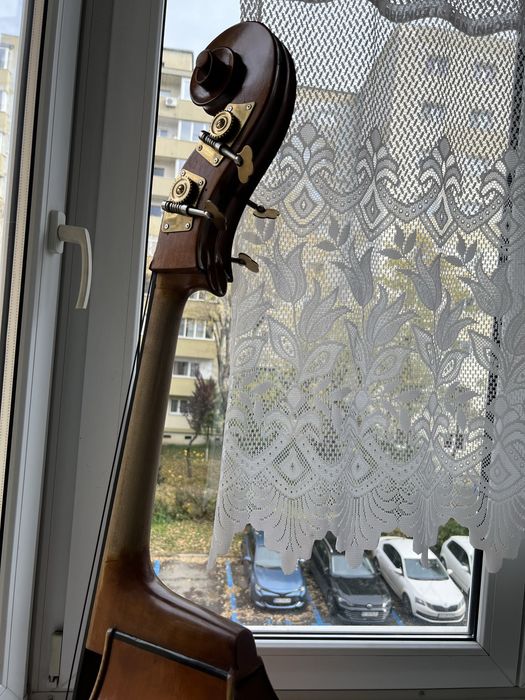 Vand contrabas de maestru