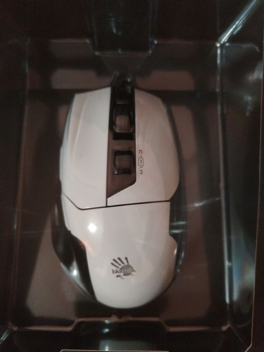 Mishka bled 10.000 dip yengi xolat ideal pull zaril realni qoladigonla