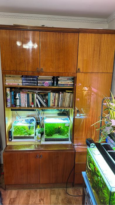 Стенка лакированая дешево