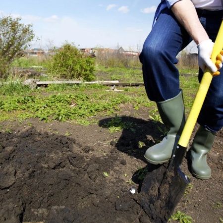 Рве траву капает агароды