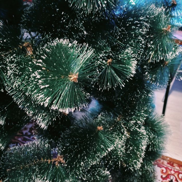 Ёлочка пушистая.