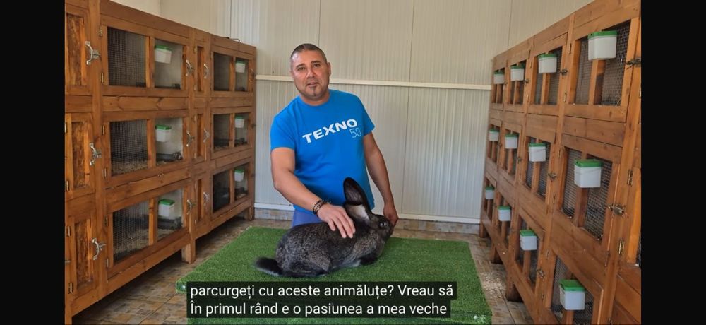 Iepuri Uriași german