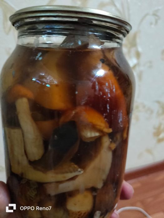 Засолка дачная разная