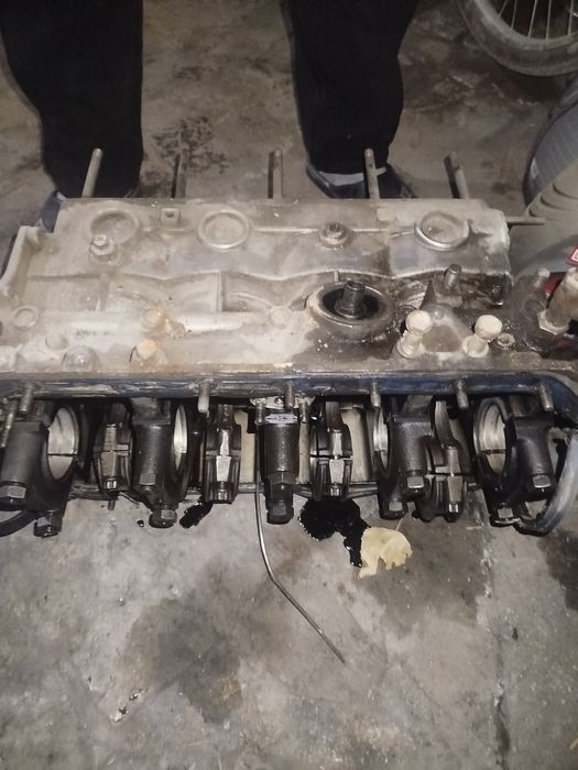 Gazel Sotka Bilok sotiladi