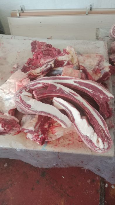 Мясо конины халал