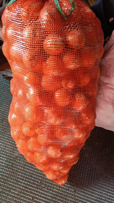 Лук репчатый 100 тг за кг