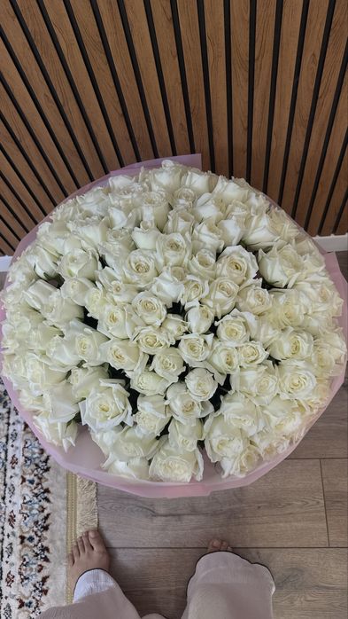 цветы 101 розы продам свежые