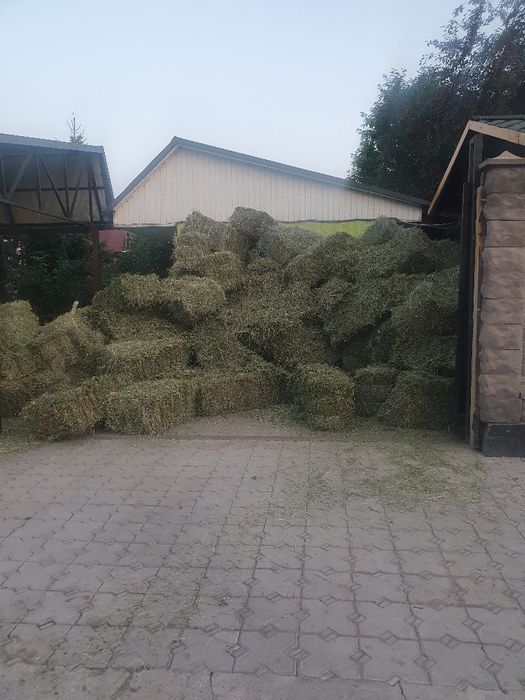 Сено Табиги  Шоп Разнотравье