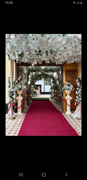 Ayiqlar  animator sahna bezaklari  oformleniya 24 soat xizmat eng arzo