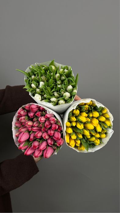 Тюльраны оптом 320 тг