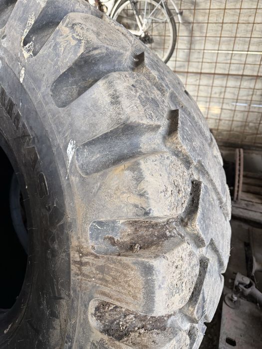 Vand anvelopa vola buldo