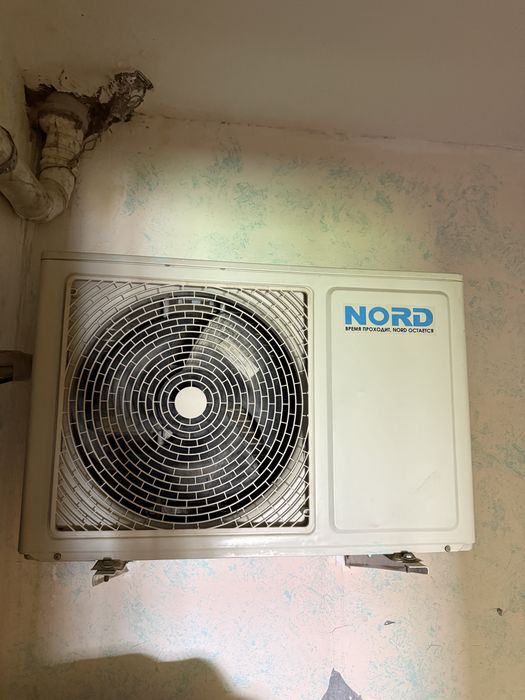 Kandisaner 18 lik satiladi Nord