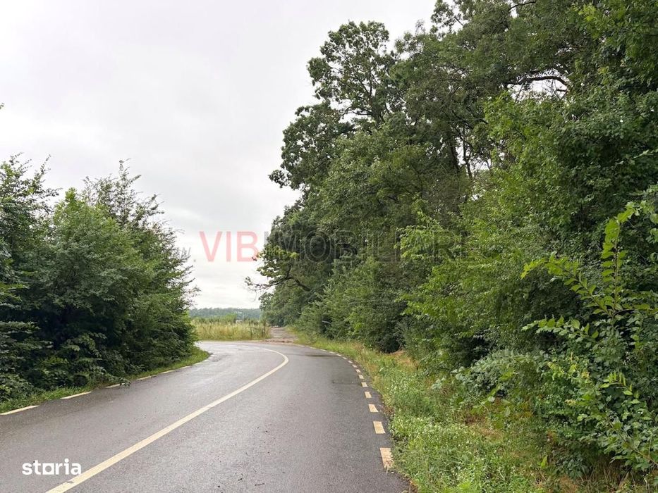 Teren cu vedere la padure – Snagov, Ghermanesti, Str. Razboieni,