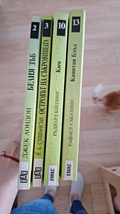 Вечните детски романи, пан