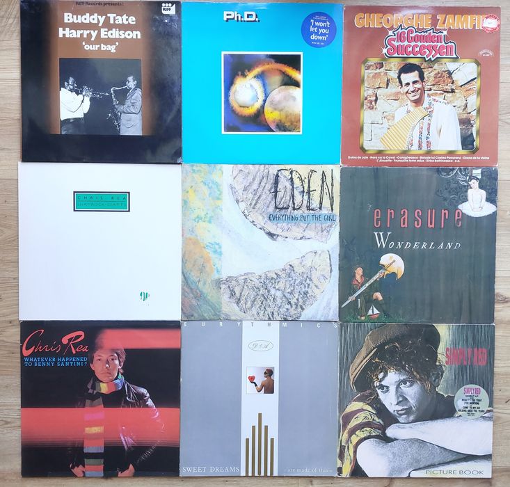Vinyl - vinil Sting The Police The Doors Eric Clapton Vangelis B Dylan