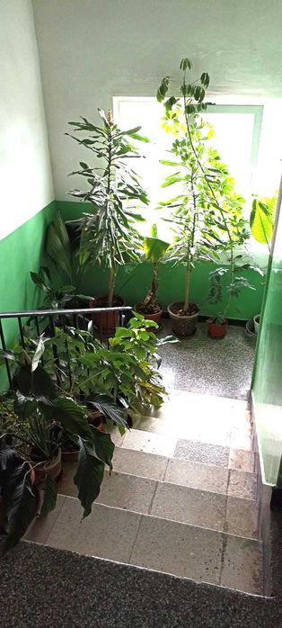 Продава се Тристаен апартамент в София, Младост 1 - 90 кв.м за 2500 €/кв.м - Снимка #14