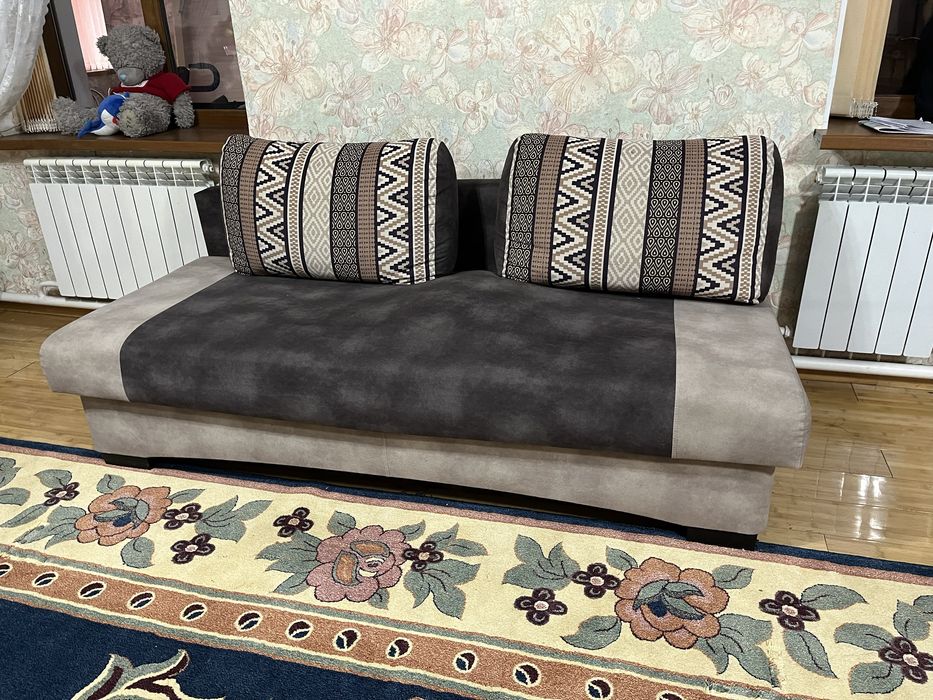 Раскладной диван с двумя подушками