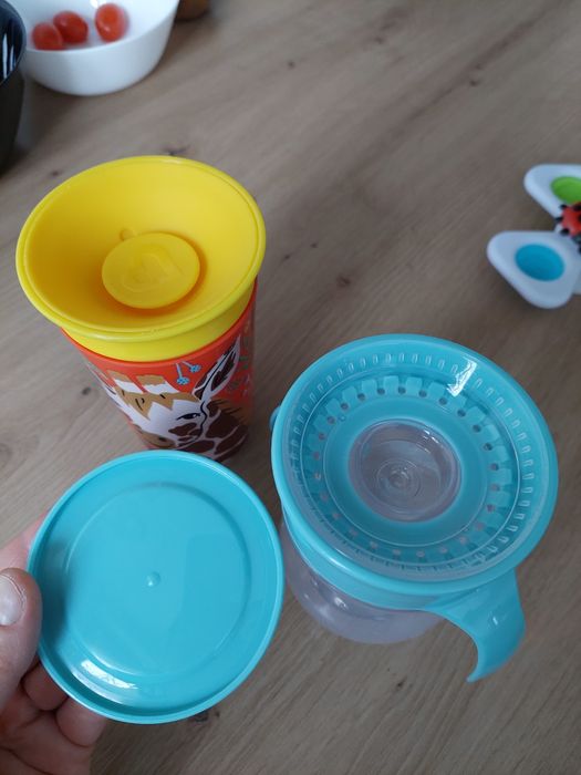 Cani de antrenament bebe  360