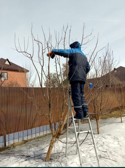 Обрезка деревьев электроинструментами