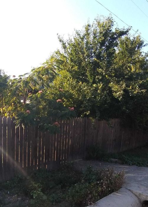 Teren intravilan sat Unirea