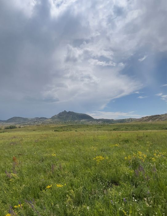 Продается крестьянское хозяйство