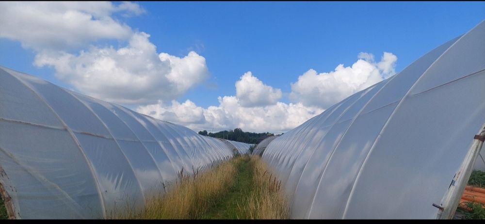 Vand solarii pentru legume, cu bara de palisare