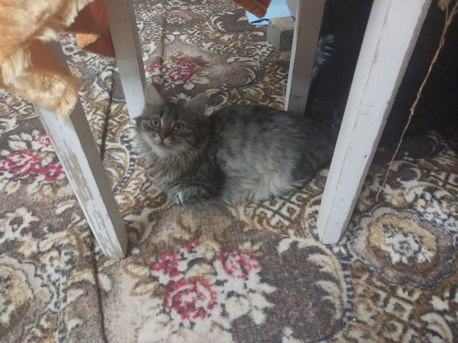 5 месяцев девочка