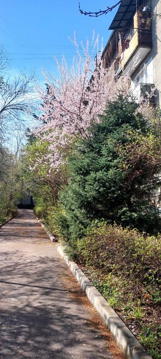 Продажа 3 комнатной квартиры