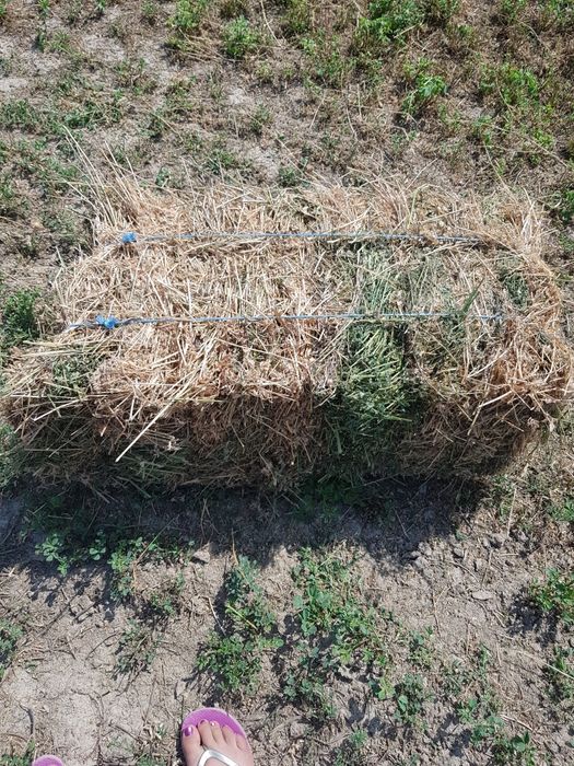 Baloti pătrați coasa 3