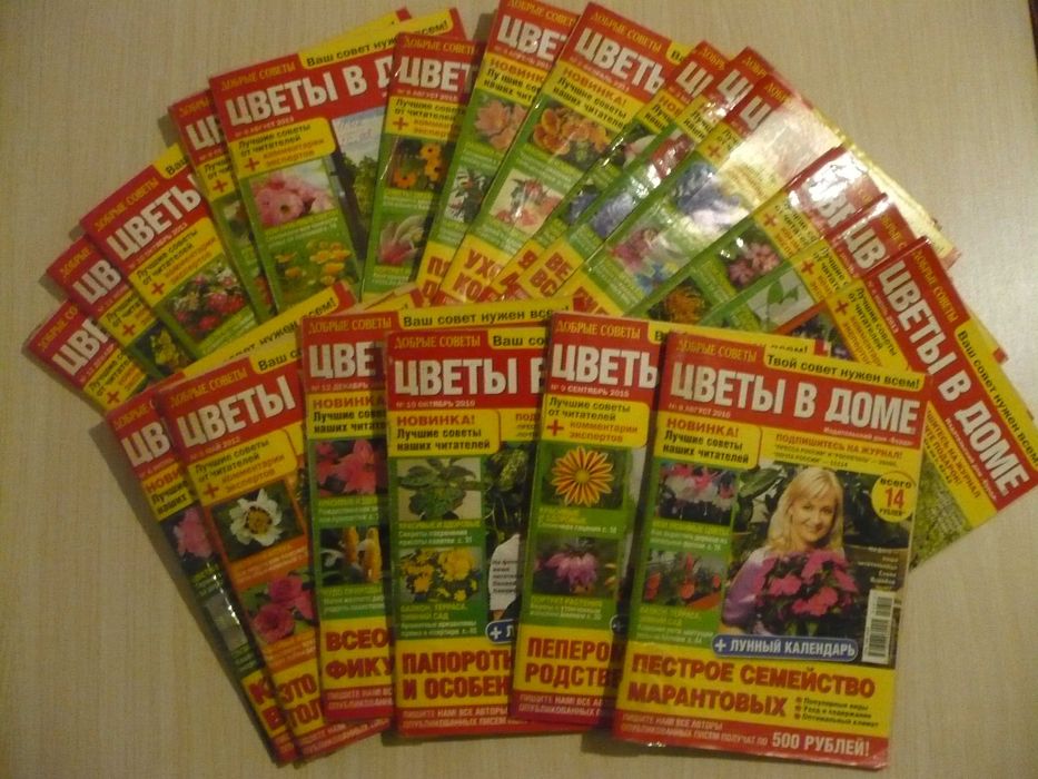 Комнатные цветы, домашнее цветоводство