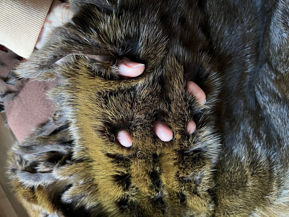 Наметка от визон