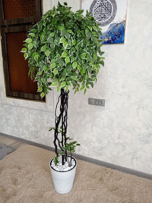 Искусственные ростени, исключение дерева. Искусственные цветы для офис