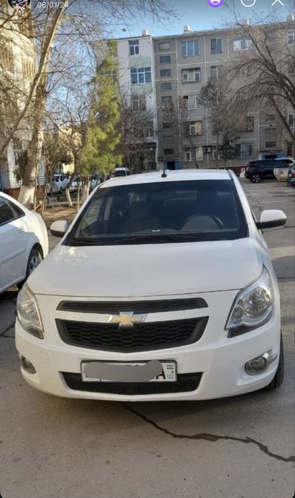Kobilt 2019 yil. 15 oy tulovi bor