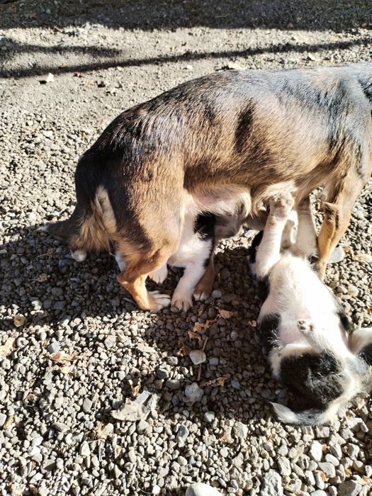 Звонки в хорошие руки