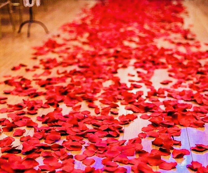 Лепестки красивых роз