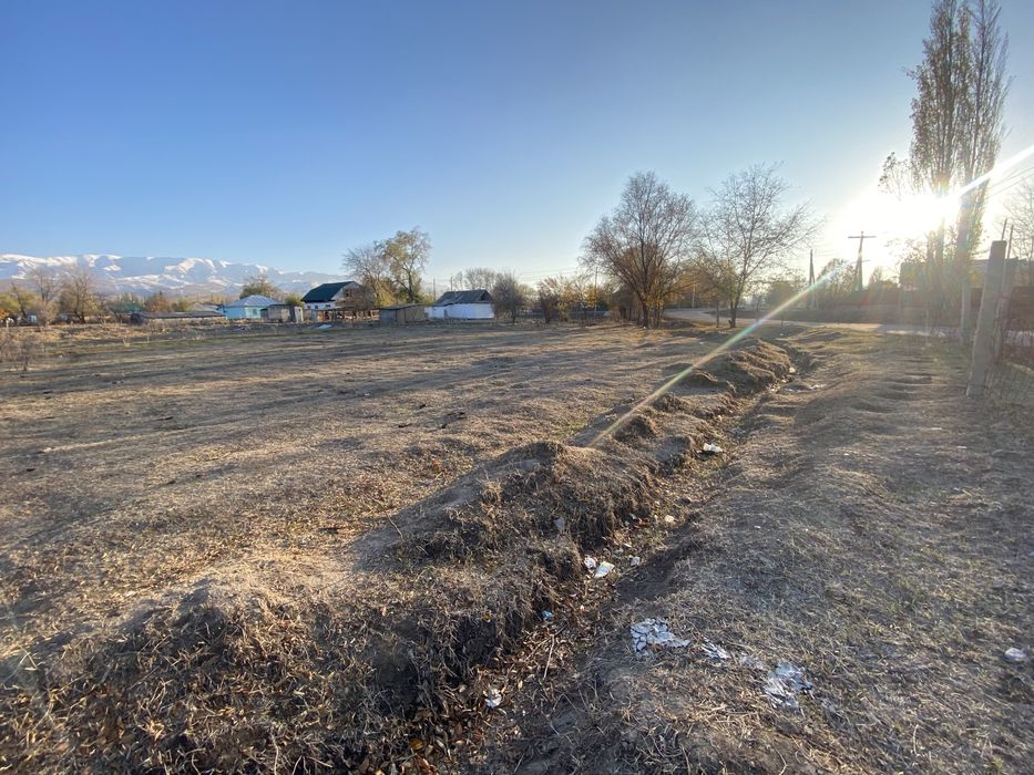 Продам дом с землей село Бурган
