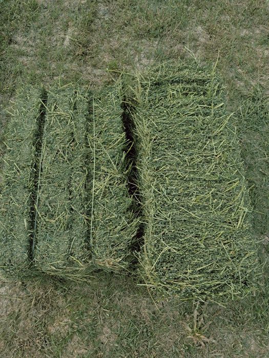 Beda pres sotiladi [продаётся беда прес]