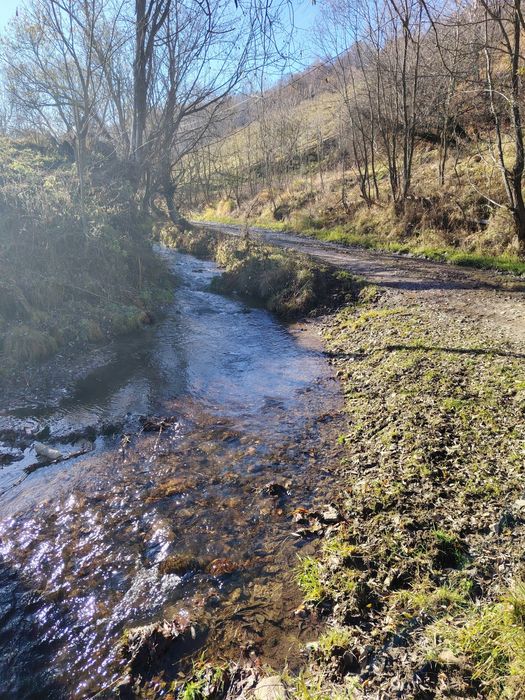Teren cu Pârâu Muntele Băișorii