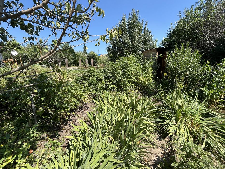 Продам дачу (НЕ В ГОРОДЕ)