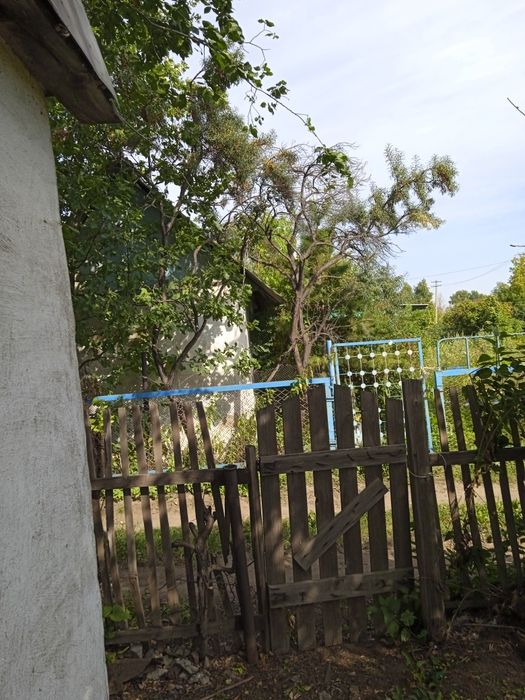 Дача сад Северный